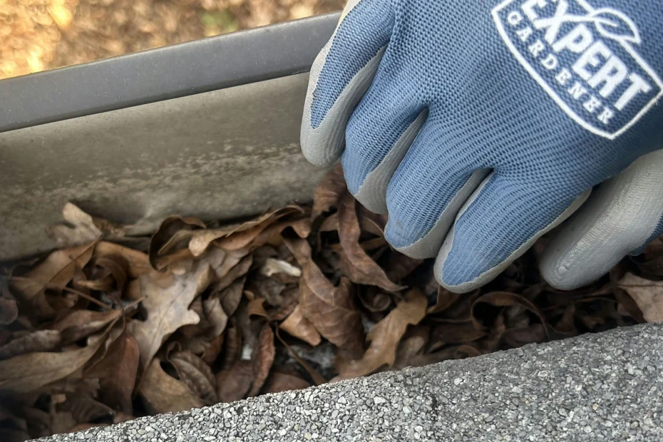 Fitchburg Gutter Cleaning